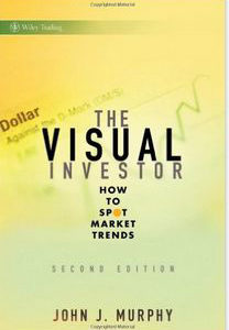 The Visual Investor